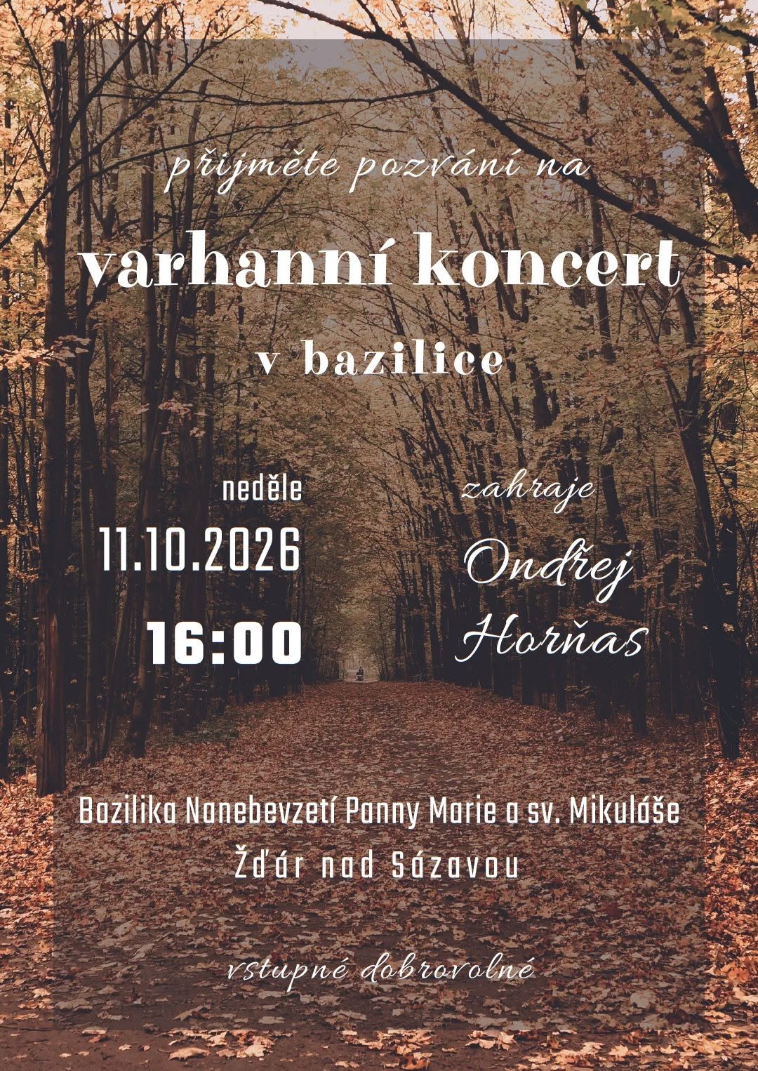 varhann&iacute; koncert